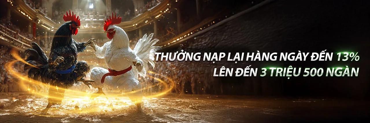 Đá Gà Trực Tuyến bong789 bet