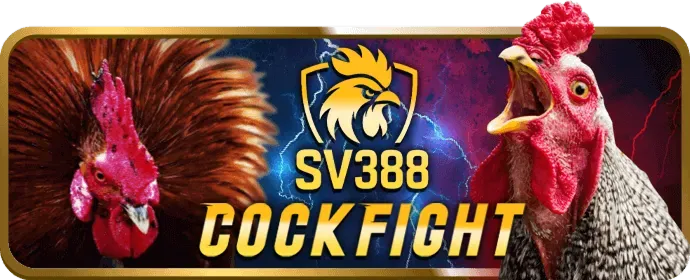 Khuyến mãi cá cược thể thao bong789 bet