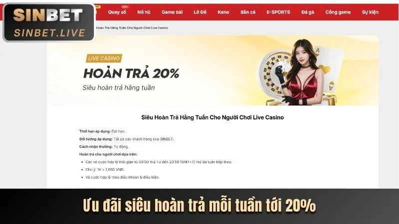 Màn hình cá cược trực tiếp với các tỷ lệ kèo thay đổi liên tục